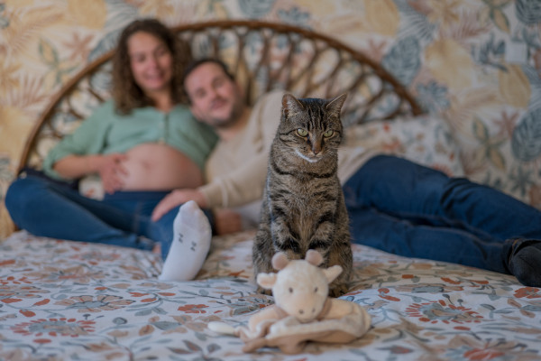 Rêveuse d'étincelles - Tatiana MAURINES - Photographe et rédactrice sur Écully, Lyon et la région Rhône-Alpes. Photographe de grossesse à Lyon. Photographie d'un couple et leur chat sur un lit